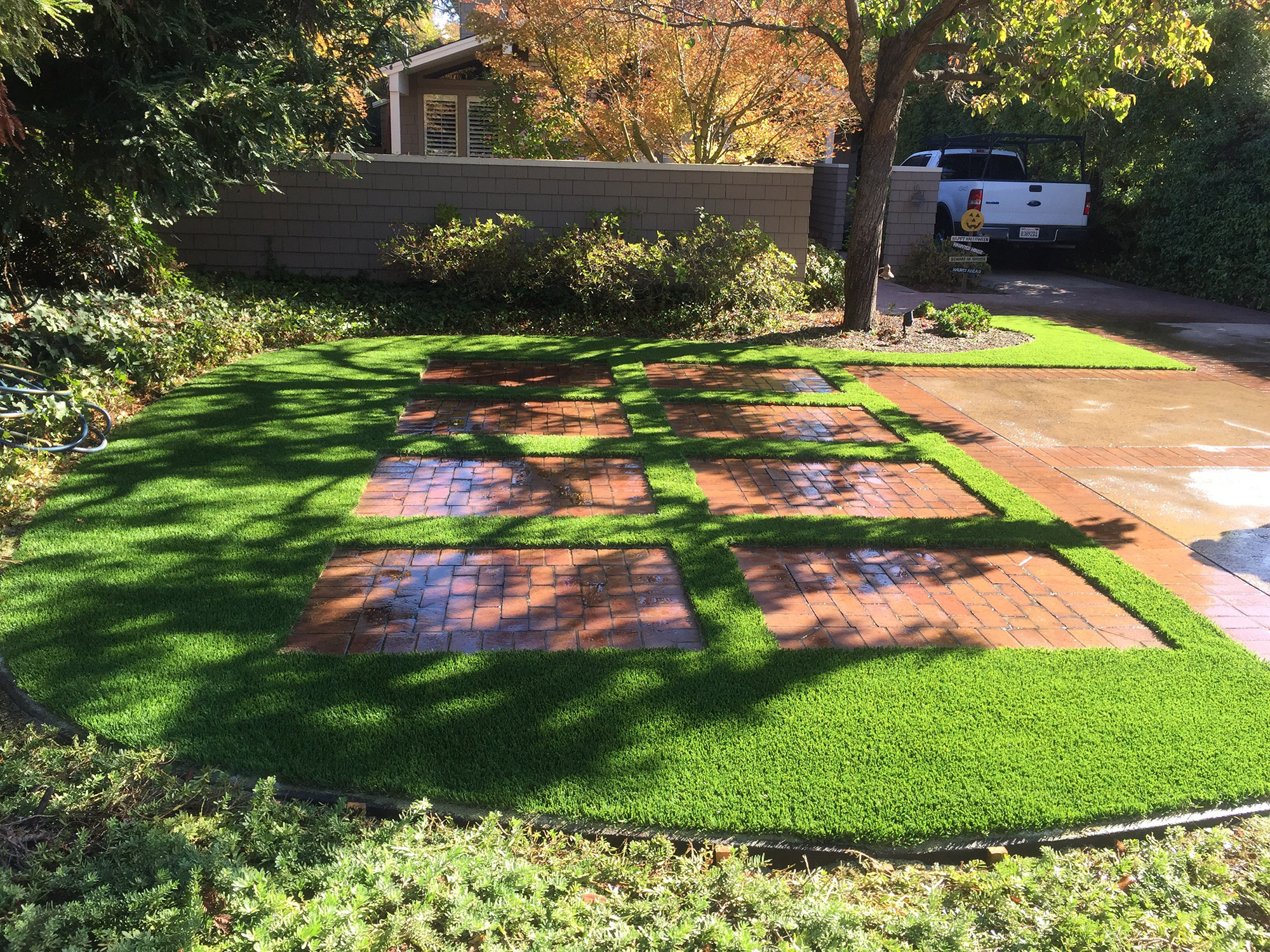  Morelia Landscape Service