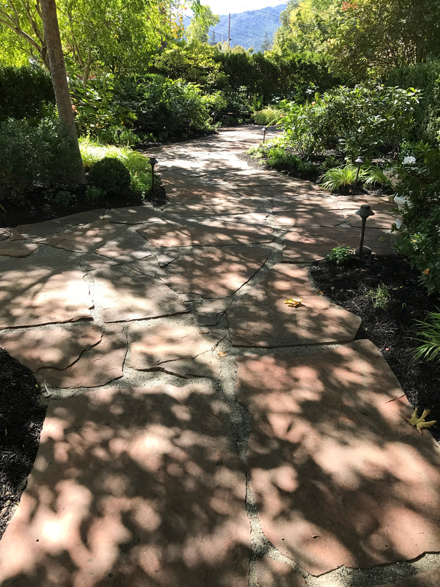 IMG_2358 Morelia Landscape Service