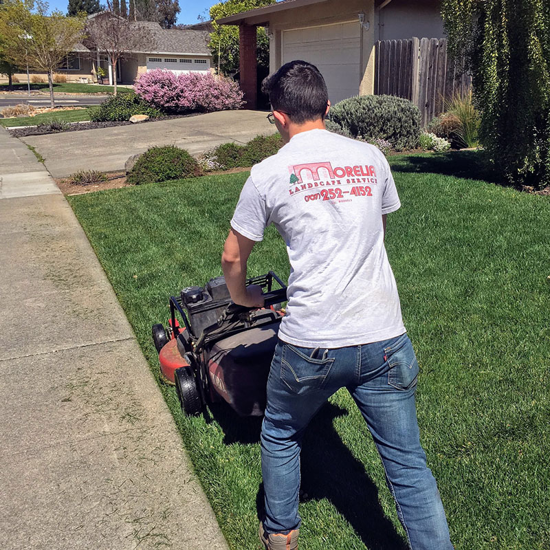 Landscape Service Morelia Landscape Service